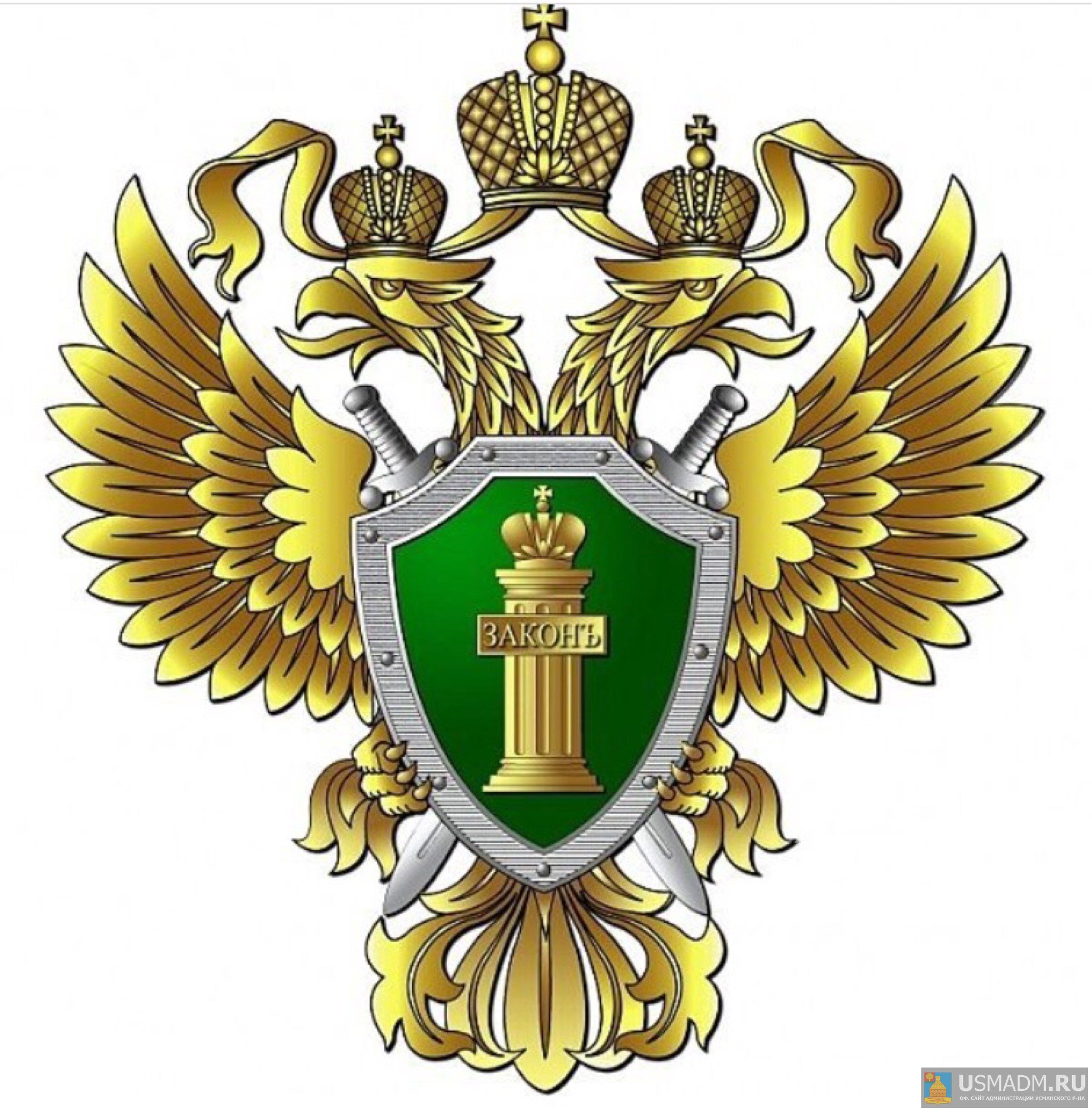 Прокурор Усманского района добился возбуждения уголовного дела по факту избиения женщины